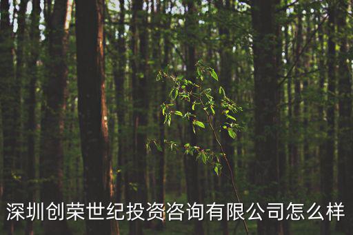 深圳創榮世紀投資咨詢有限公司怎么樣