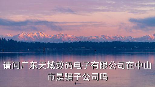 請問廣東天域數碼電子有限公司在中山市是騙子公司嗎
