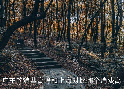 廣東的消費(fèi)高嗎和上海對比哪個消費(fèi)高