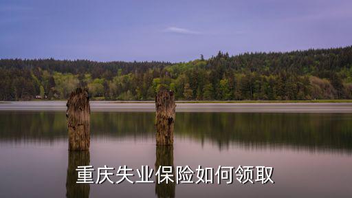 重慶失業保險如何領取