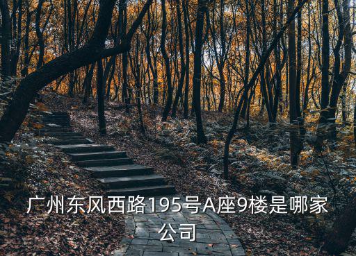 廣州東風西路195號A座9樓是哪家公司