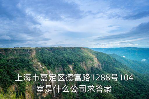 上海市嘉定區德富路1288號104室是什么公司求答案