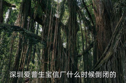 深圳愛普生寶信廠什么時候倒閉的