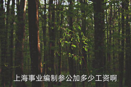 上海事業編制參公加多少工資啊