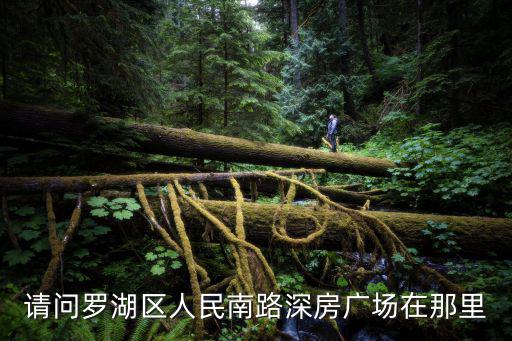 請問羅湖區(qū)人民南路深房廣場在那里