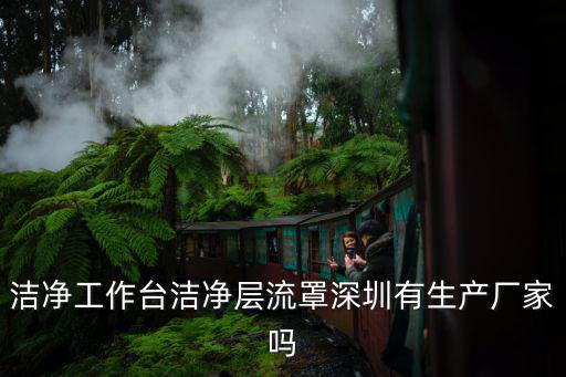 潔凈工作臺潔凈層流罩深圳有生產廠家嗎