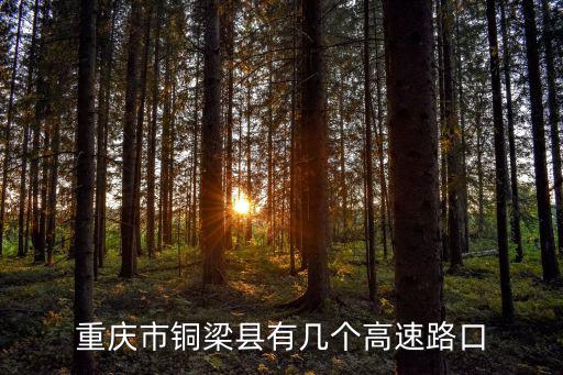 重慶市銅梁縣有幾個高速路口