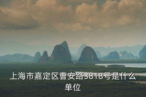 上海市嘉定區(qū)曹安路3818號(hào)是什么單位