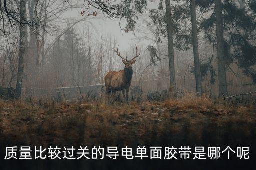 質(zhì)量比較過關(guān)的導(dǎo)電單面膠帶是哪個呢