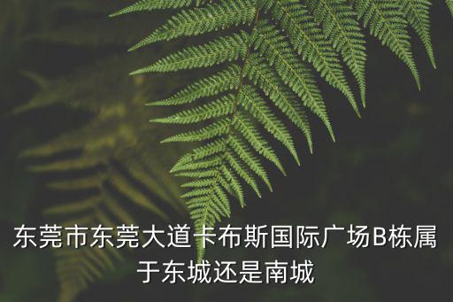 東莞市東莞大道卡布斯國際廣場B棟屬于東城還是南城