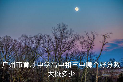 廣州市育才中學高中和三中哪個好分數大概多少
