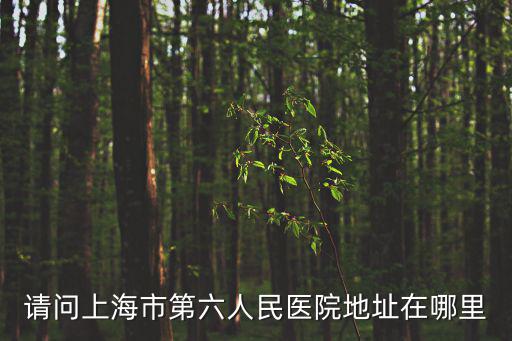 上海市第六人民醫院東院官網，上海市第六人民醫院