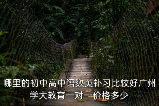 哪里的初中高中語數英補習比較好廣州學大教育一對一價格多少