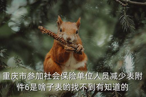 重慶市參加社會保險單位人員減少表附件6是啥子表喲找不到有知道的