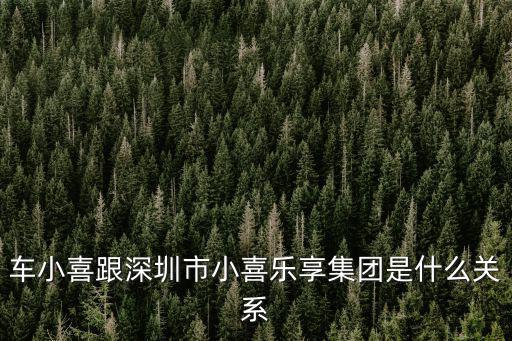 車小喜跟深圳市小喜樂享集團是什么關系