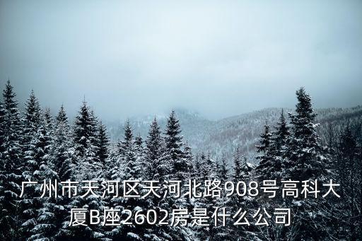 廣州市天河區天河北路908號高科大廈B座2602房是什么公司
