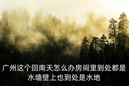 廣州市回南天，廣州回南天怎么解決啊