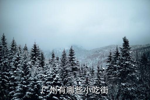 廣州 伴手禮，廣州市石基鎮(zhèn)