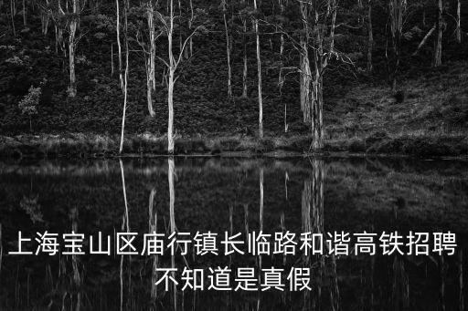 上海寶山區(qū)廟行鎮(zhèn)長(zhǎng)臨路和諧高鐵招聘不知道是真假