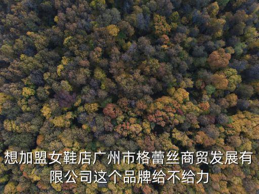 想加盟女鞋店廣州市格蕾絲商貿(mào)發(fā)展有限公司這個品牌給不給力