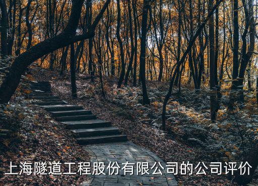 上海隧道工程股份有限公司的公司評價
