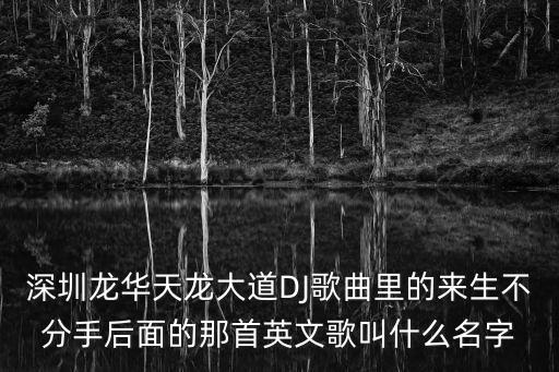 深圳龍華天龍大道DJ歌曲里的來生不分手后面的那首英文歌叫什么名字