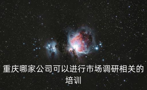 重慶市售電側 調研，重慶哪家公司可以進行市場調研相關的培訓