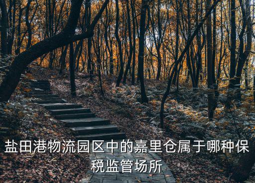鹽田港物流園區中的嘉里倉屬于哪種保稅監管場所