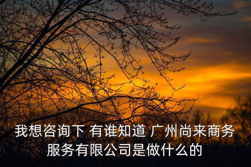 我想咨詢下 有誰知道 廣州尚來商務服務有限公司是做什么的