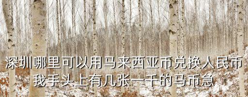 深圳哪里可以用馬來西亞幣兌換人民幣我手頭上有幾張一千的馬幣急