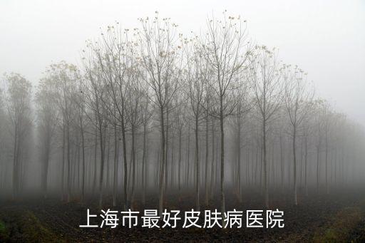 上海市最好皮膚病醫(yī)院
