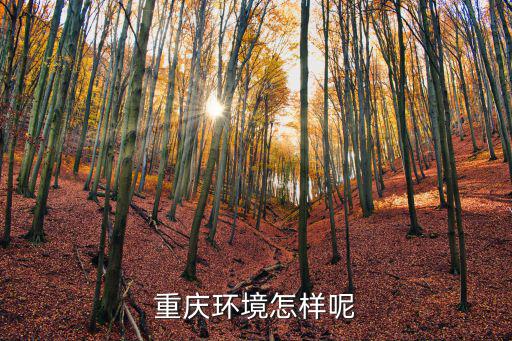 重慶環境怎樣呢