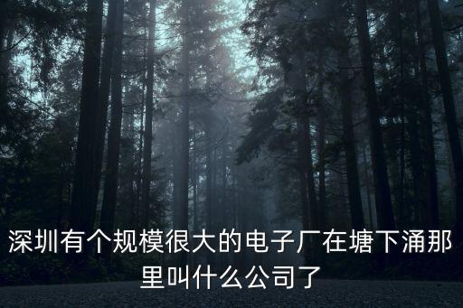 深圳有個(gè)規(guī)模很大的電子廠在塘下涌那里叫什么公司了