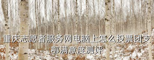 重慶志愿者服務(wù)網(wǎng)電腦上怎么投票團(tuán)支部滿意度測評(píng)