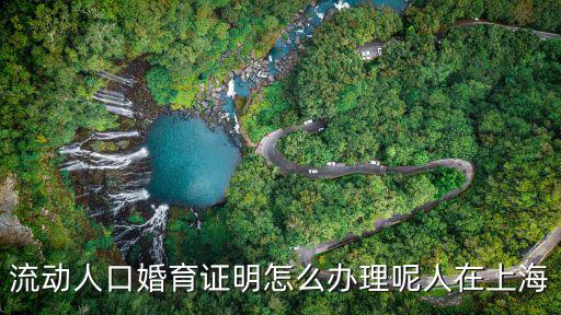 流動人口婚育證明怎么辦理呢人在上海