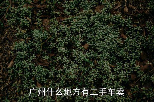 廣州哪里有二手貨車賣，請問廣州市哪地方收購二手貨車的