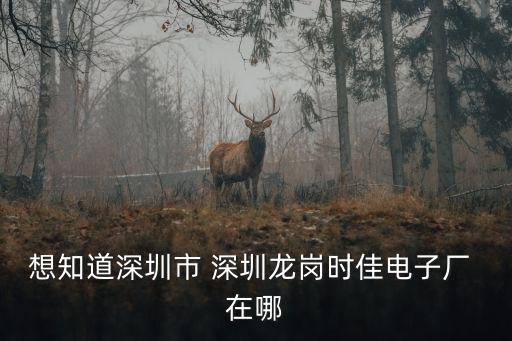 深圳市時(shí)華電子，世紀(jì)同創(chuàng)電源深圳華強(qiáng)代理商在哪里