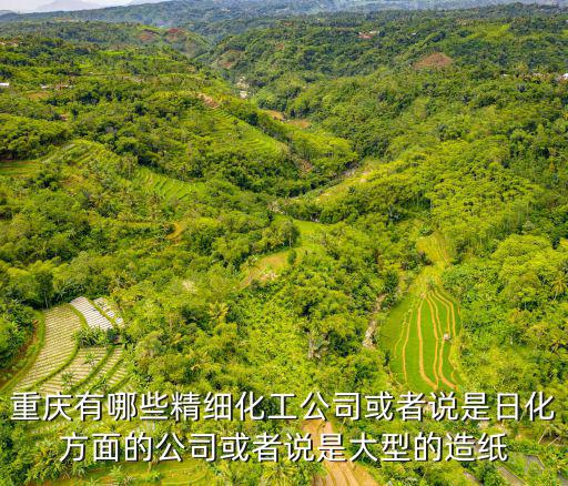 重慶市化工工程用表全套，重慶大學(xué)的化學(xué)工程與工藝怎么樣是不是出來只有1500一月的工