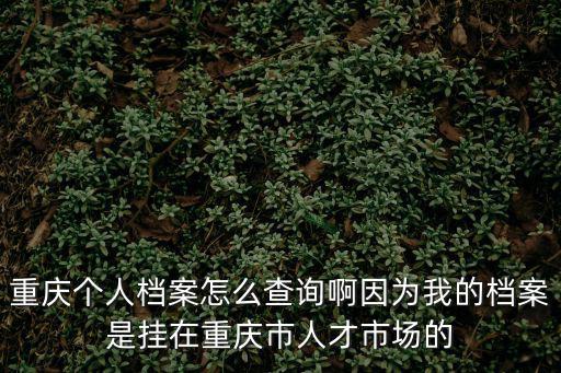 重慶個人檔案怎么查詢啊因為我的檔案是掛在重慶市人才市場的