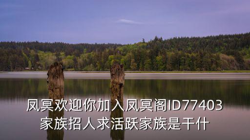 鳳冥歡迎你加入鳳冥閣ID77403家族招人求活躍家族是干什