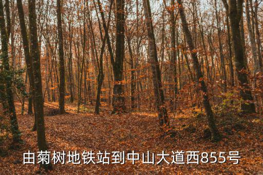 由菊樹地鐵站到中山大道西855號