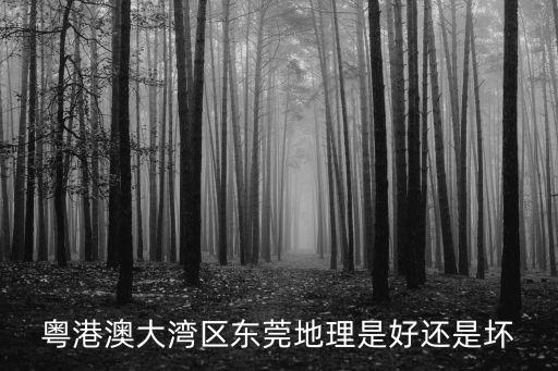 粵港澳大灣區東莞地理是好還是壞