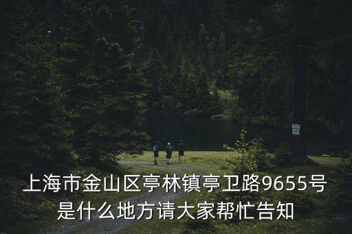 上海市金山區亭林鎮亭衛路9655號是什么地方請大家幫忙告知