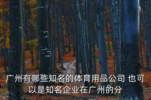 廣州有哪些知名的體育用品公司 也可以是知名企業在廣州的分