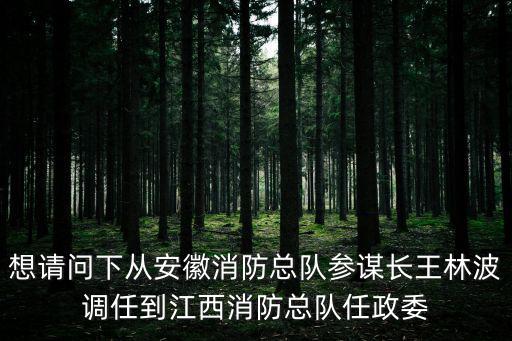 想請問下從安徽消防總隊參謀長王林波調(diào)任到江西消防總隊任政委