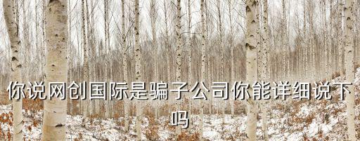 你說網創國際是騙子公司你能詳細說下嗎