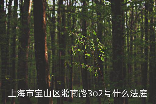 上海市寶山區(qū)淞南路3o2號(hào)什么法庭