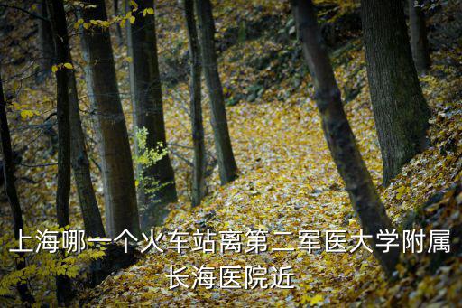 上海哪一個火車站離第二軍醫大學附屬長海醫院近