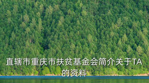 直轄市重慶市扶貧基金會簡介關于TA的資料