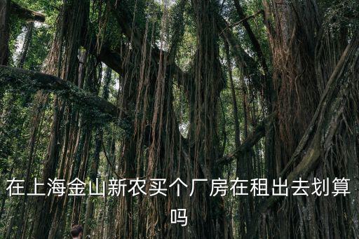 在上海金山新農買個廠房在租出去劃算嗎